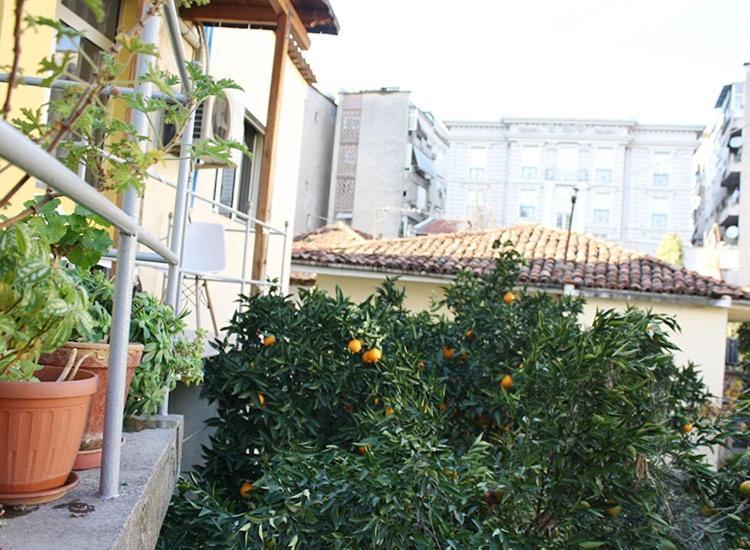 Orange Villa Hotel Τίρανα Εξωτερικό φωτογραφία